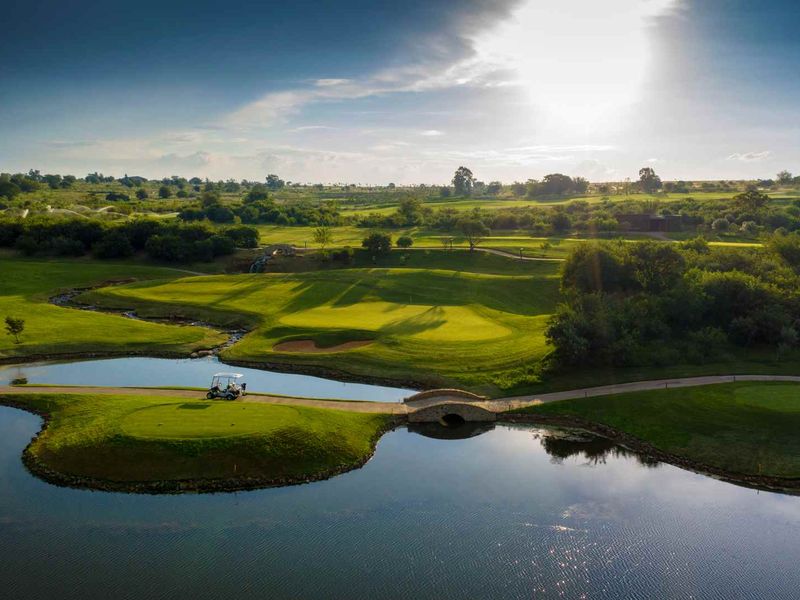 Tranquility at the Terraces - Photo 8