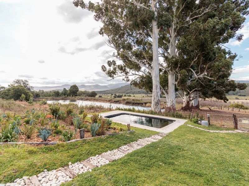 Grootnek Guest Farm – Krakeel River, R62 Eastern Cape - 46.492 ha - Photo 6