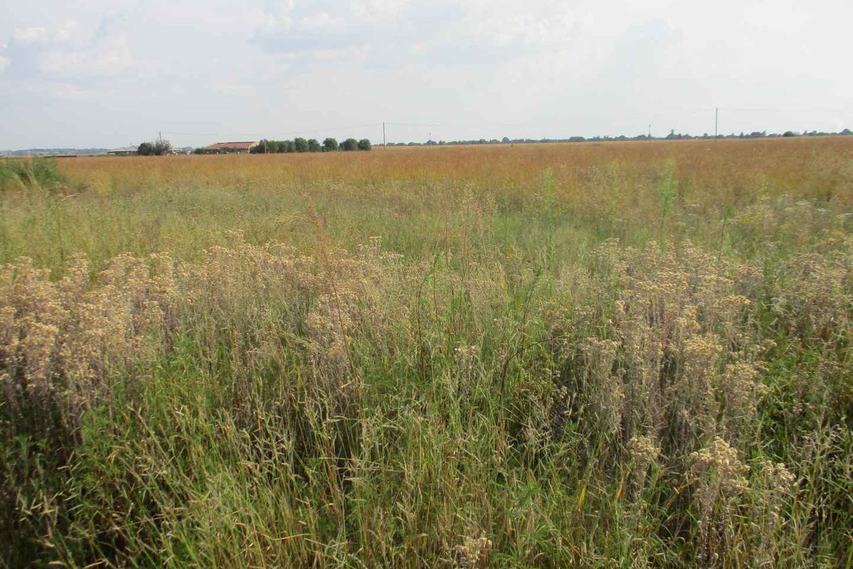 A wide, open expanse of undeveloped residential land featuring natural grassland and vegetation.
