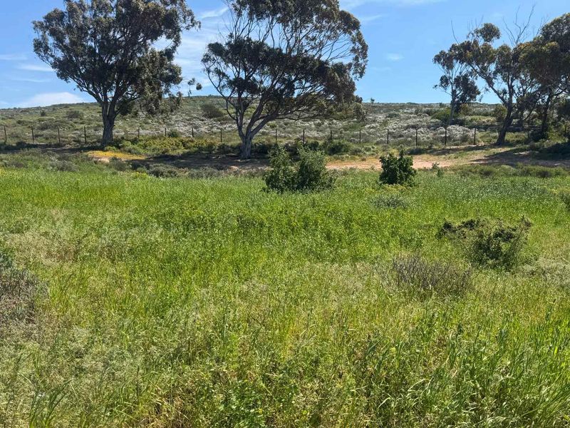 Plot & Plan Opportunity in St Helena Views – Modern Coastal Living with Solar Power - Photo 10