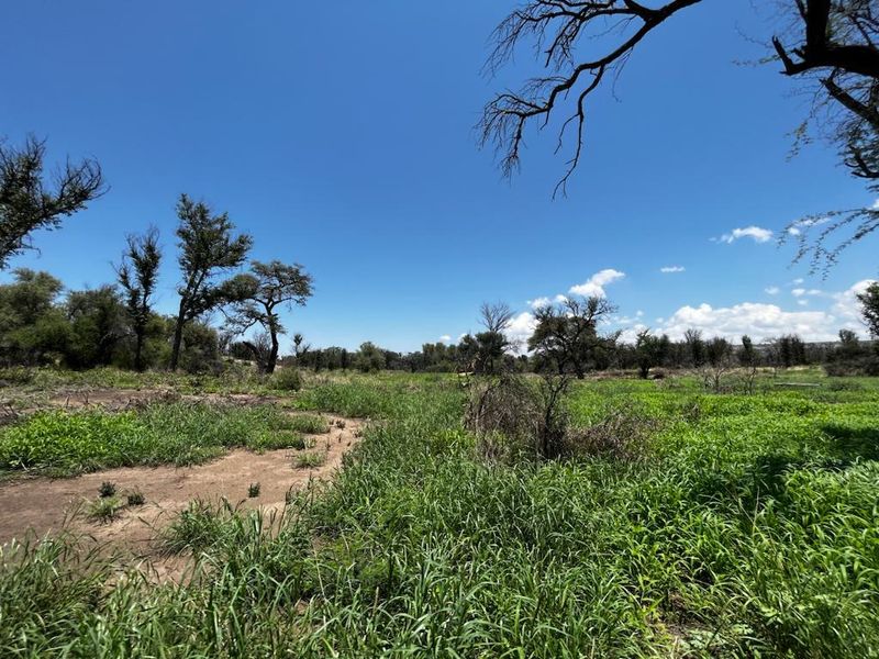 Immerse yourself in the charm of rural living – our stock farm invites you to embrace a life surrounded by nature, livestock, and the simple joys of the country - Photo 10