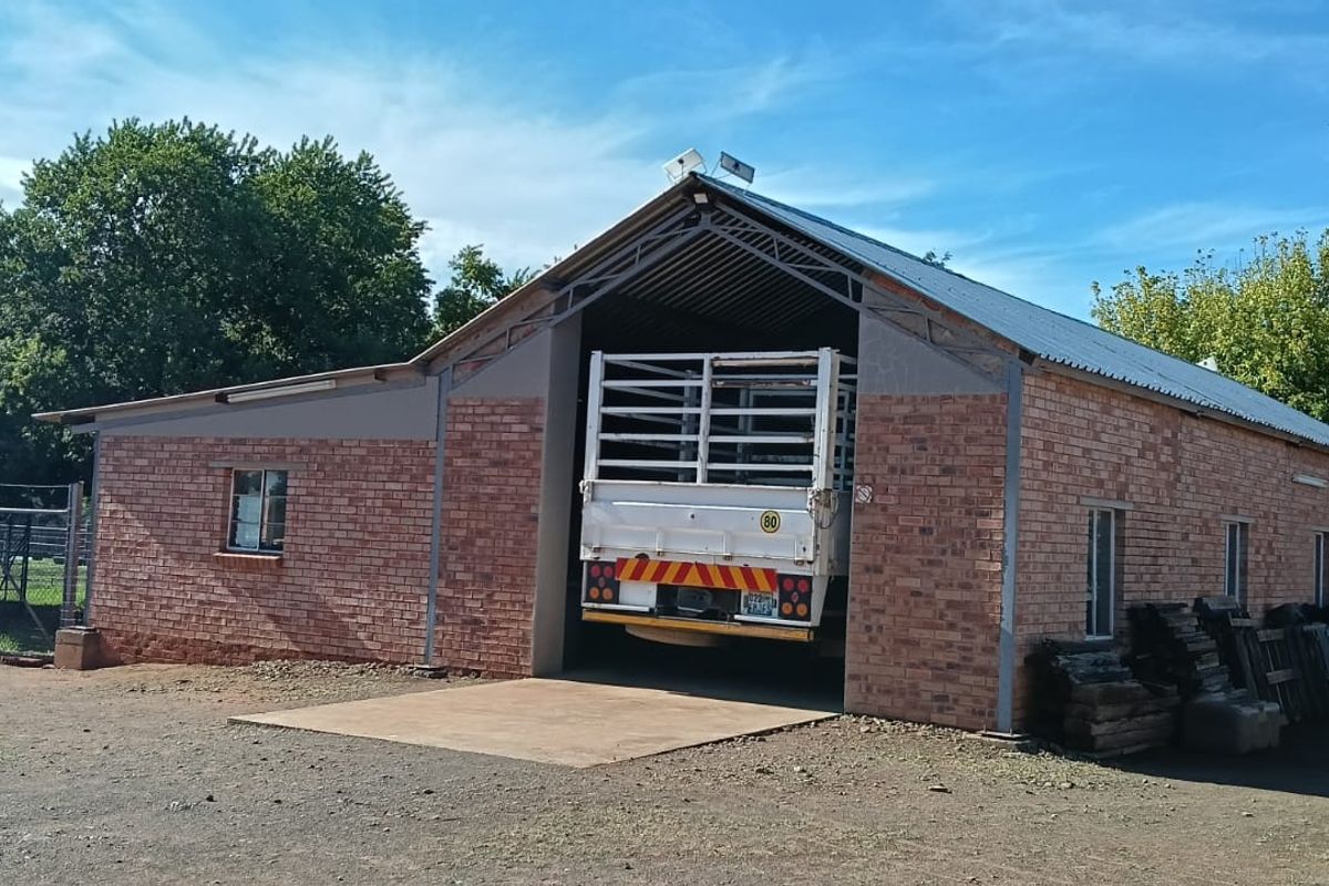 OUTSTANDING SMALL HOLDING. CAN BE USED FOR,GUESTHOUSE,ANY BUSINESS. ANY FARMING,LOTS OF WATER. - Photo 5