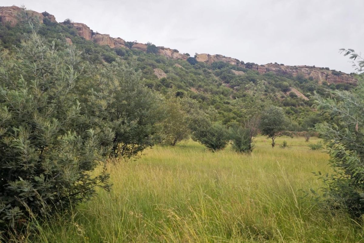 **Build Your Dream Home on this Stunning Vacant Land** - Photo 2