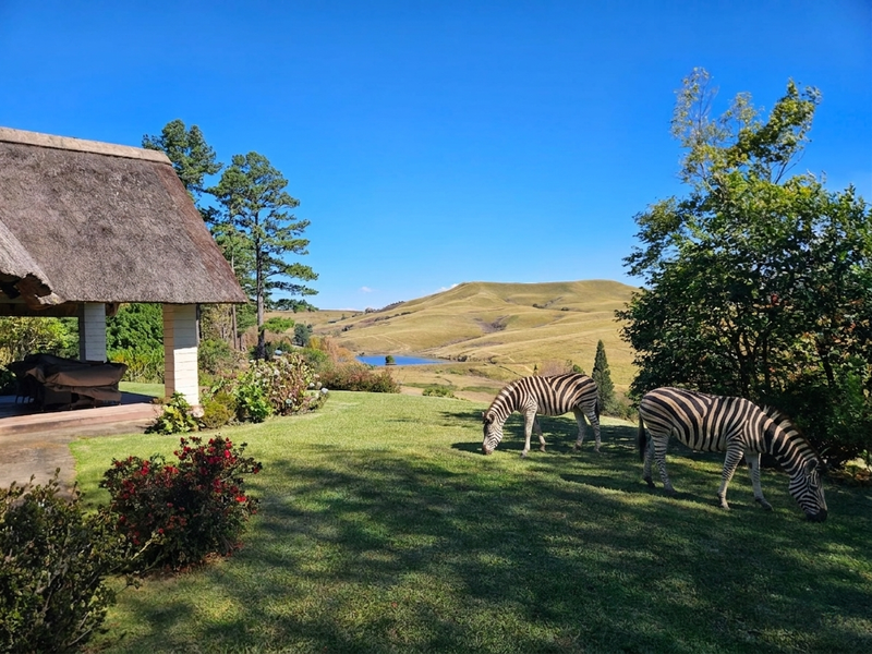 A scenic view of a landscaped garden with a thatched-roof patio area, overlooking rolling hills and a small dam.