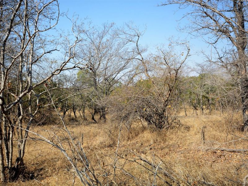 Vacant Land in MODITLO NATURE RESERVE - Photo 6