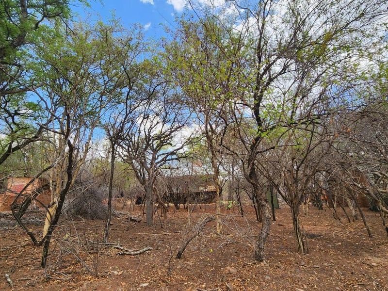 STAND IN TRANQUIL  AREA - Photo 6