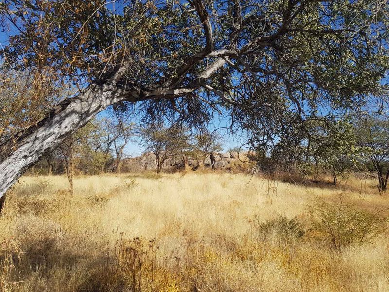 Most beautiful setting in Camelthorn Estate Okahandja - Photo 2