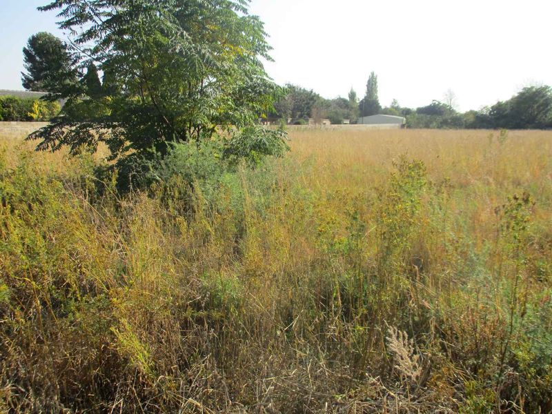 Enjoy the tranquility of Henley - Photo 2