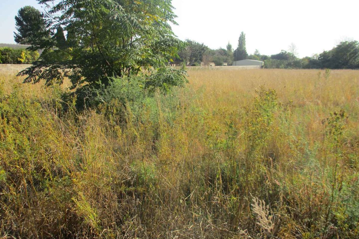 Enjoy the tranquility of Henley - Photo 2