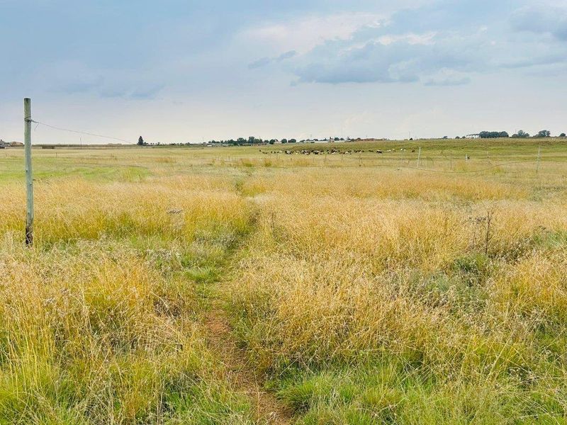 Large land for sale - Photo 6