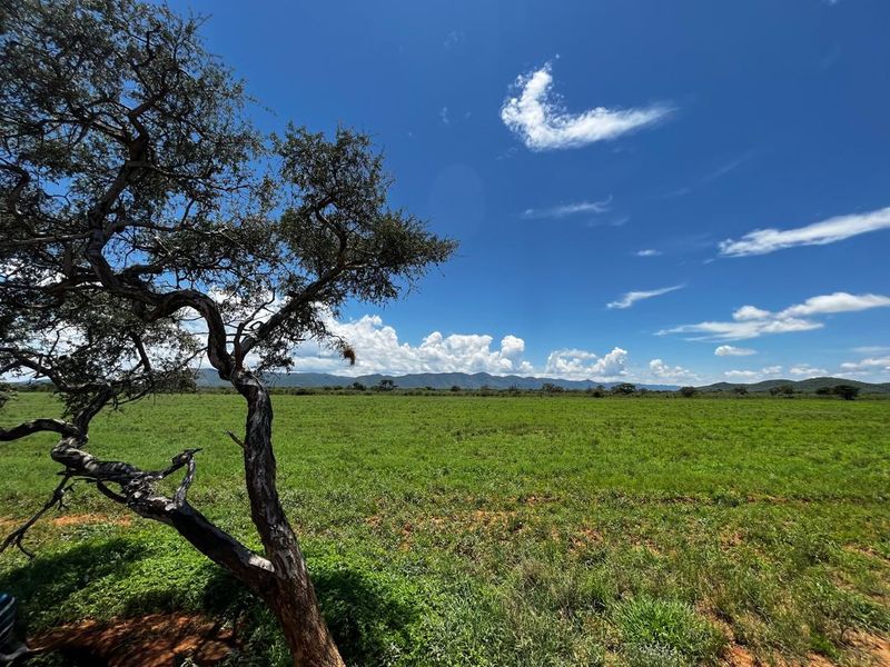 260 hectare agricultural plot, ideal for Centre pivot, feedlot or crop production - Photo 7