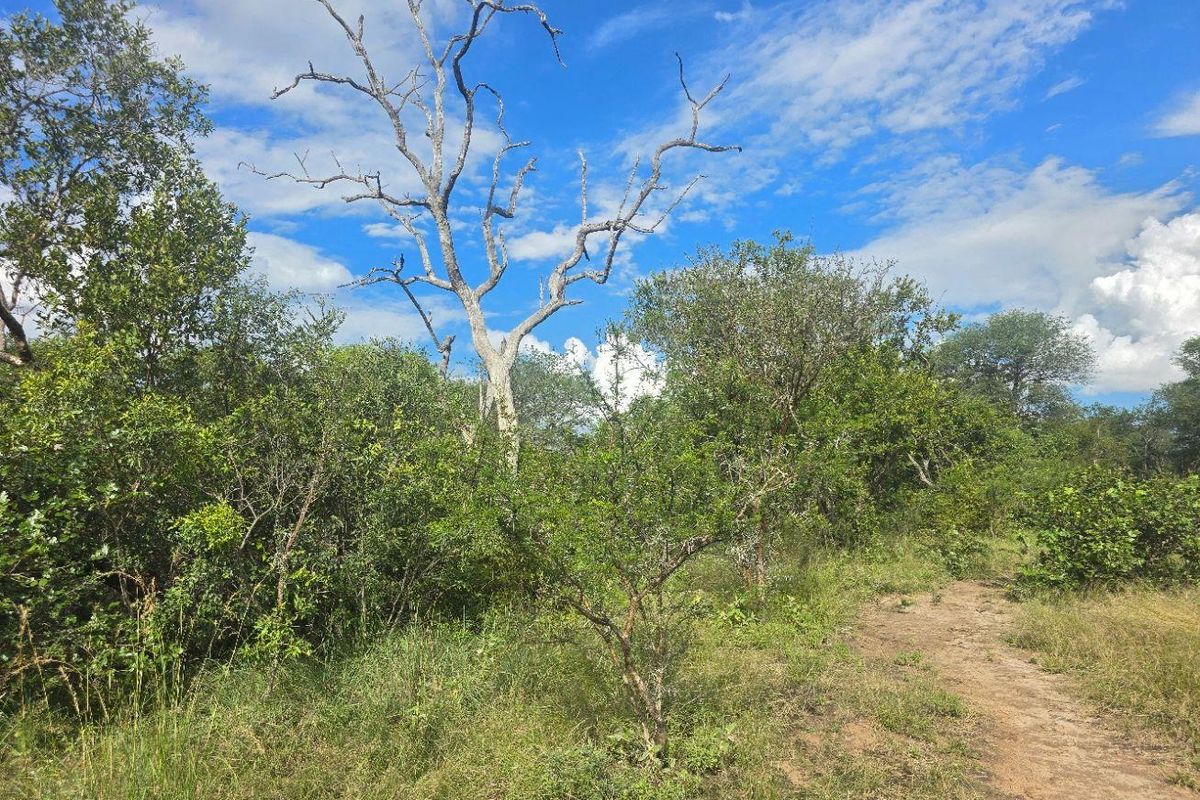 Rare & Private Riversdale Stand in Moditlo Wildlife Estate - Photo 4