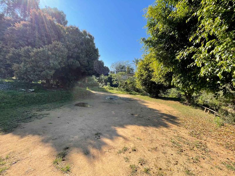 Blank Canvas 4 Hectares of Land in Quiet Cliffdale Area - Photo 5