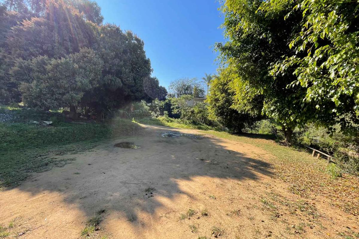 Blank Canvas 4 Hectares of Land in Quiet Cliffdale Area - Photo 5