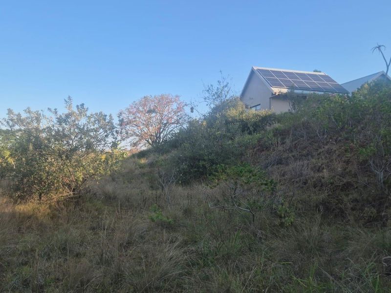 A view of a residential property set on a sloped, undeveloped grassy plot, featuring a building with solar panels installed on the roof.