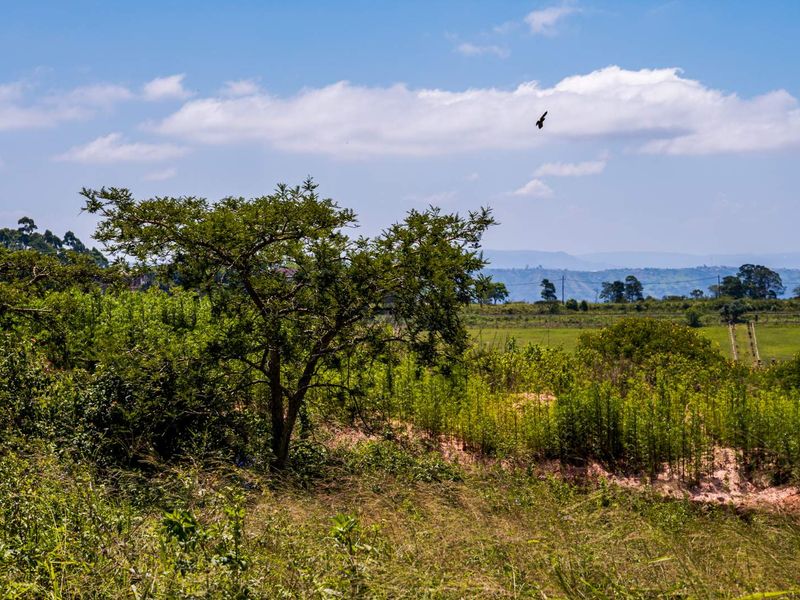 Wonderful Land in Stoneford Country Estate - Photo 9