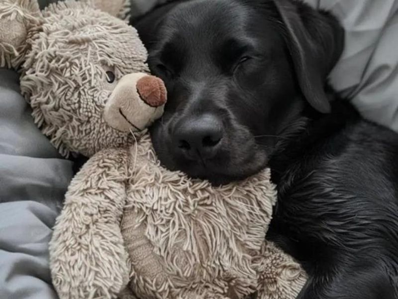 WNK CENTRAL 4 SALE - Photo 4