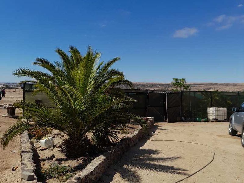 An outdoor garden area featuring a stone-walled planter bed and perimeter fencing on a small holding property.