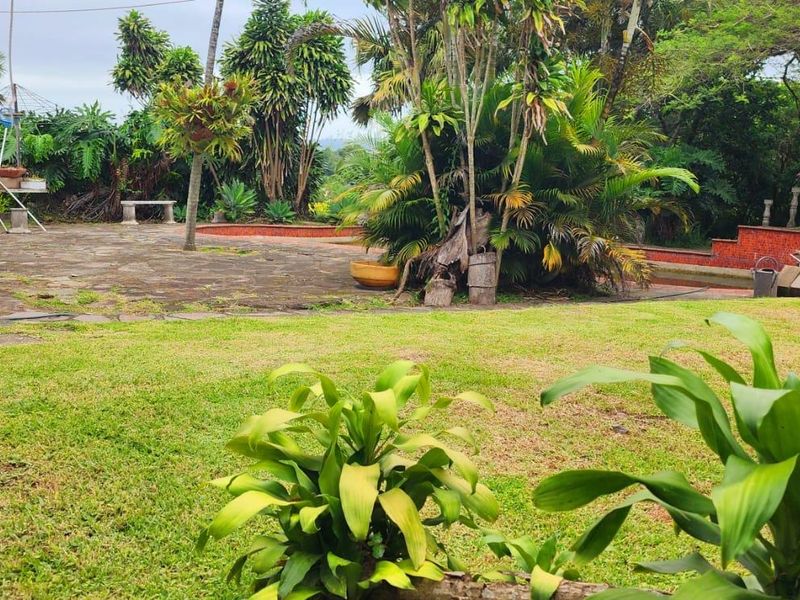 Fixer-Upper with Endless Potential - Photo 7