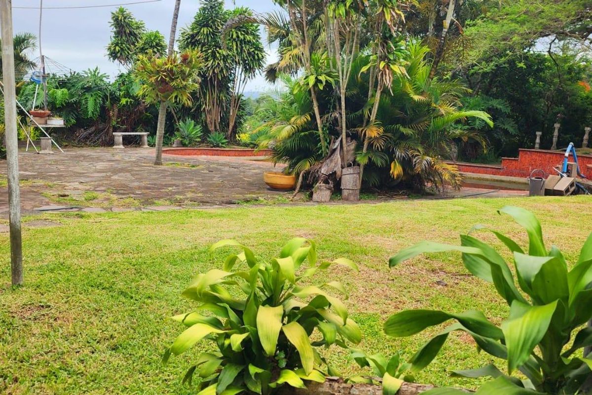 A spacious rear garden featuring a paved patio area, established tropical landscaping, and a lawn, offering a private outdoor space.