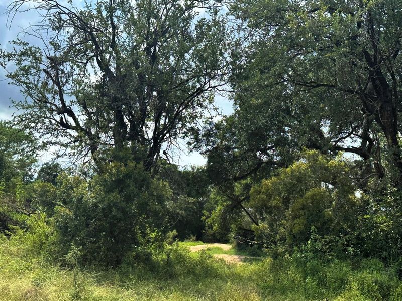 12,000 m2 Riverfront Stand in Moditlo Wildlife Estate - Photo 10