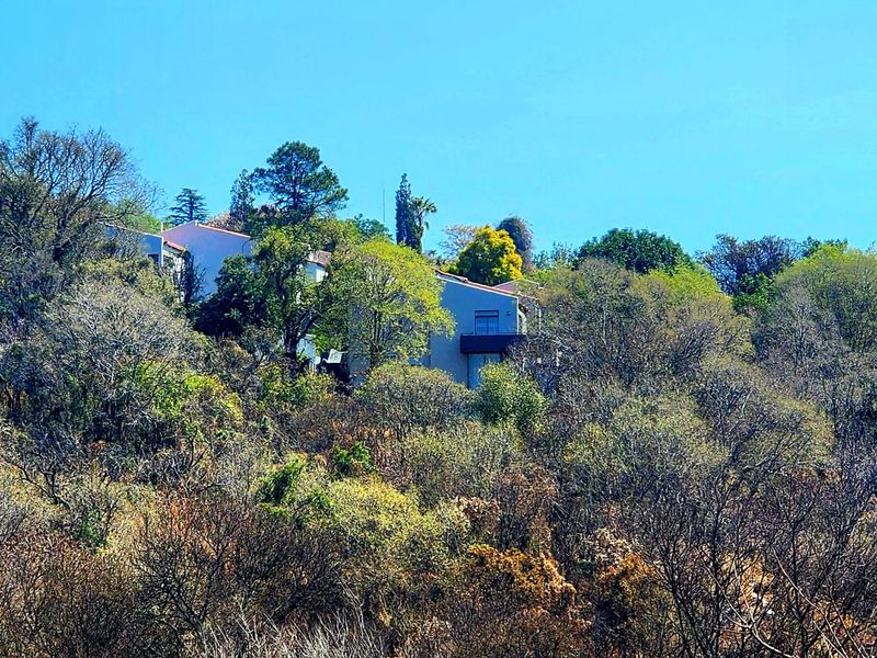 Views for Africa- 3 bed 2 bath duplex! - Photo 3