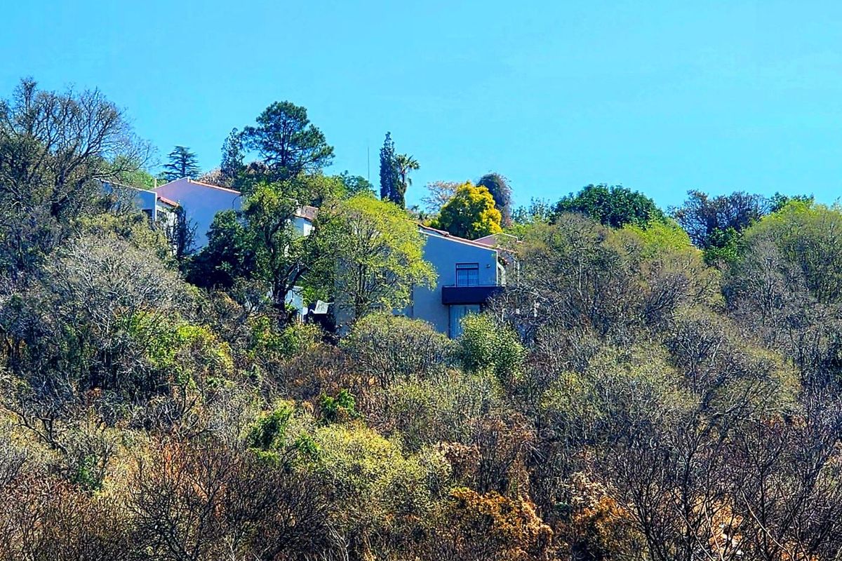 Views for Africa- 3 bed 2 bath duplex! - Photo 3