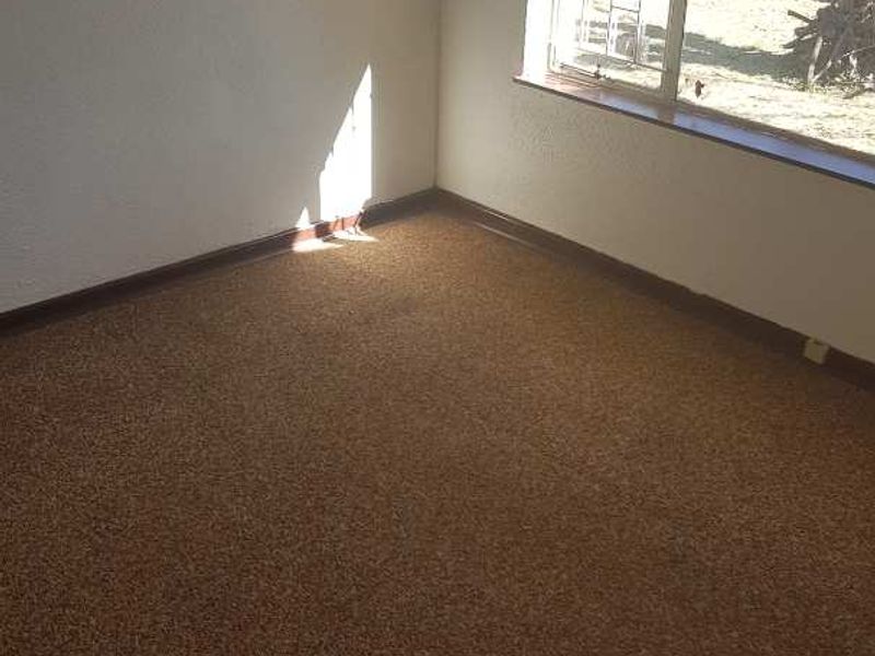 A vacant bedroom featuring carpeted flooring and a window fitted with security bars, offering a blank canvas for potential updates.
