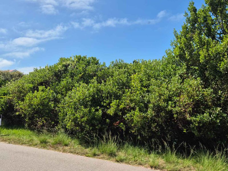 Build Your Coastal Dream Home in Tranquil Brenton on Sea - Photo 6