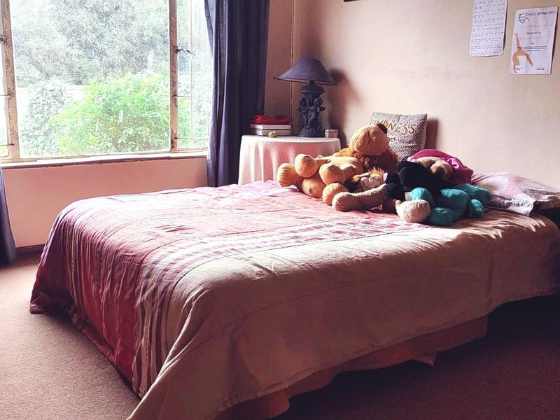 House In Wierdapark Not To Miss - Photo 6