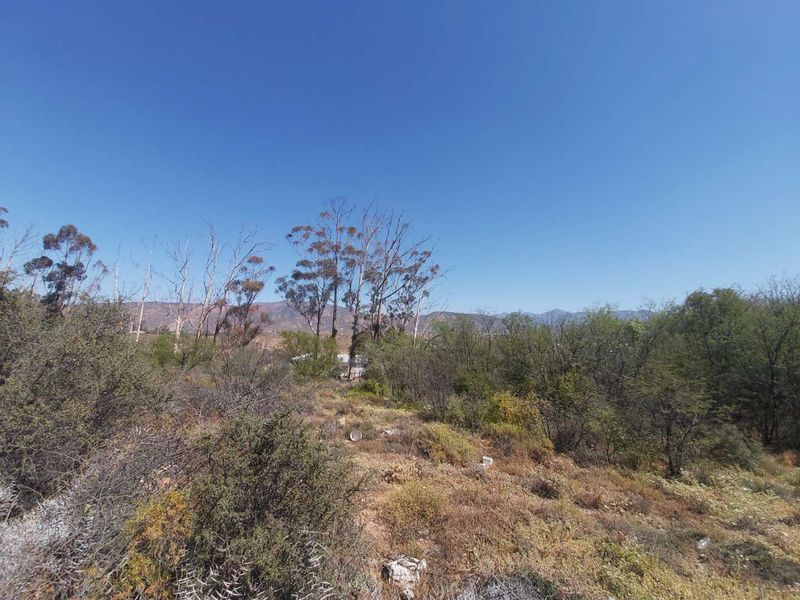 A wide-angle view of the vacant residential land featuring natural vegetation and distant mountain scenery.