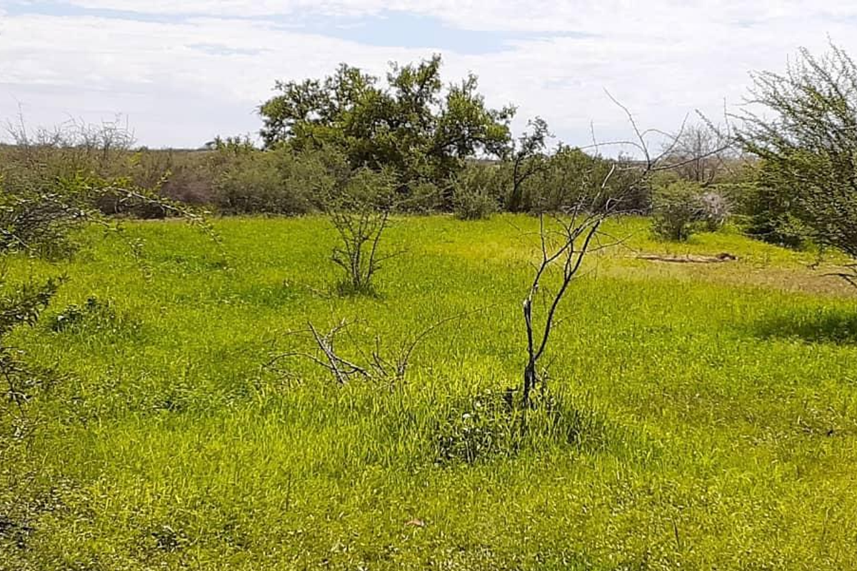 CATTLE FARM FOR SALE IN HARDAP DISTRICT - Photo 3