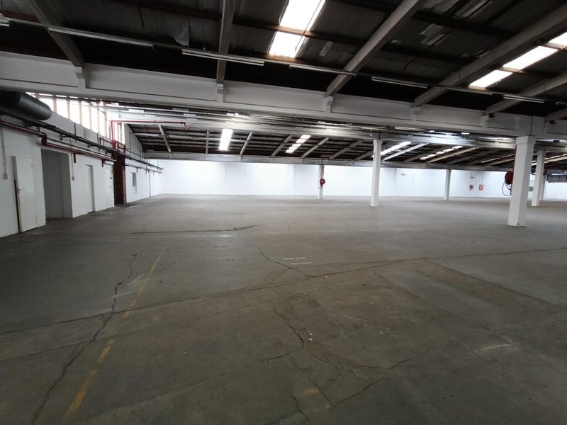 3353m2 Warehouse with 904m2 Yard - Photo 4