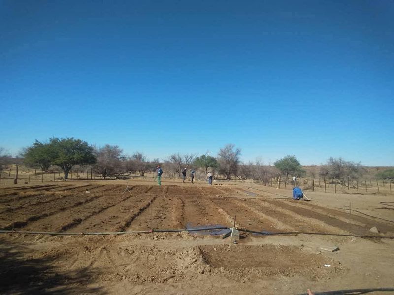 An expansive open farm land area featuring tilled soil rows, an irrigation system, and perimeter wire fencing under a clear blue sky.
