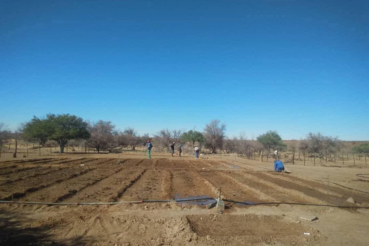 An expansive open farm land area featuring tilled soil rows, an irrigation system, and perimeter wire fencing under a clear blue sky.