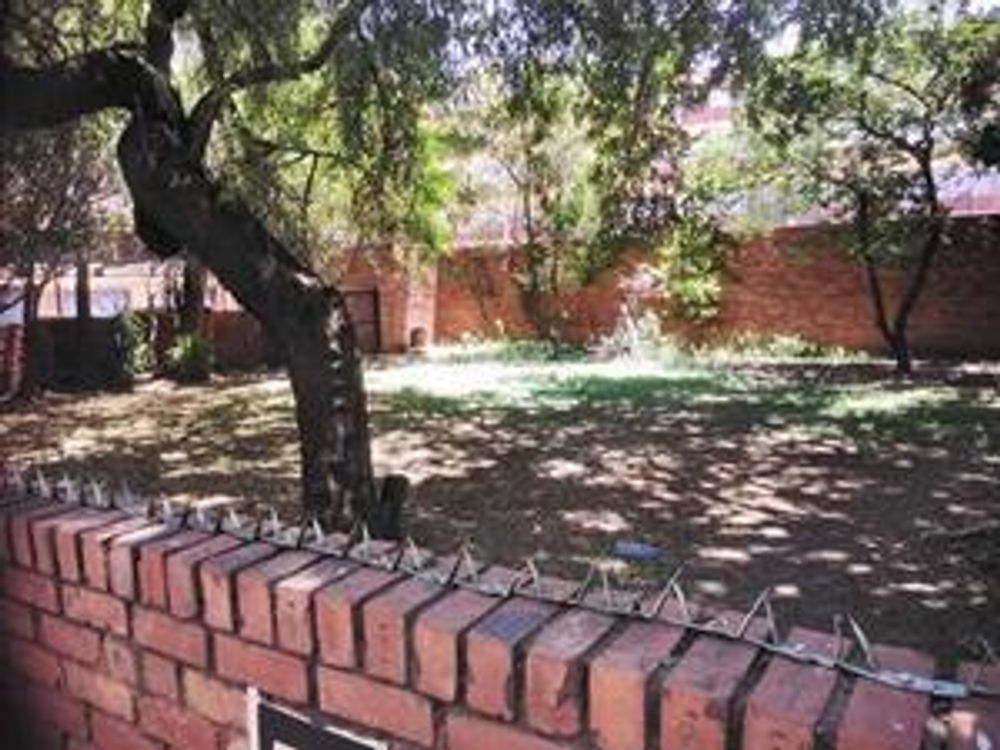BACKYARD:NEAT