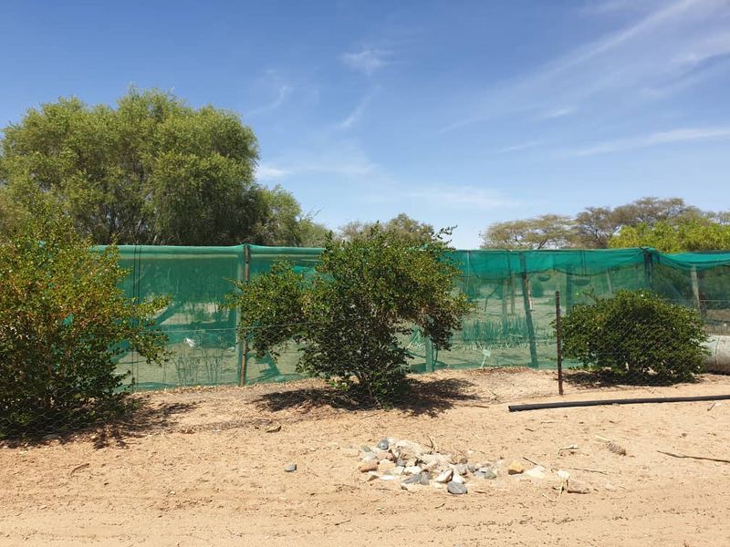 Plot with fruit trees for sale - Usakos - Photo 5