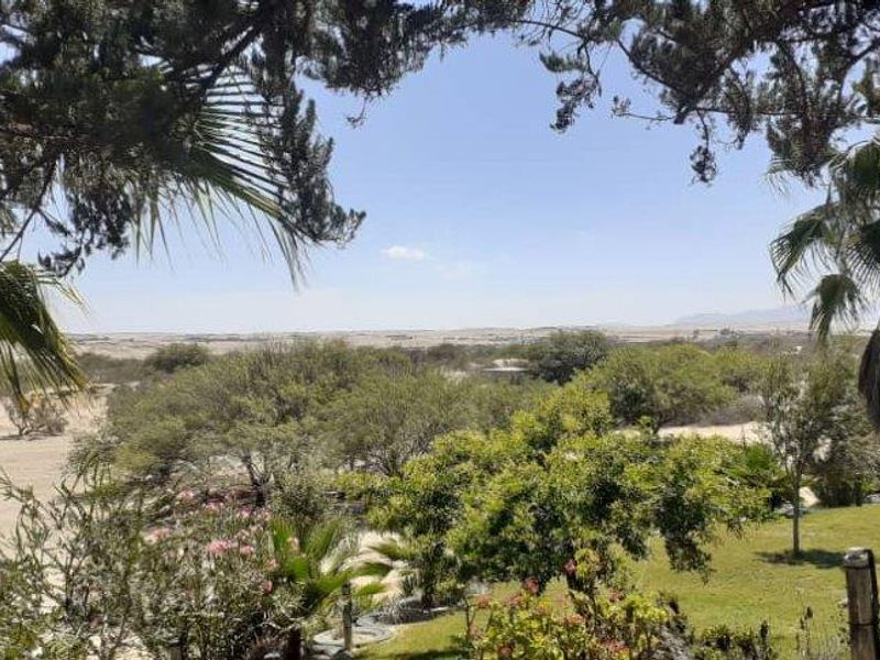 A scenic elevated view overlooking the property grounds, featuring mature trees, landscaped garden areas, and expansive natural landscape beyond.
