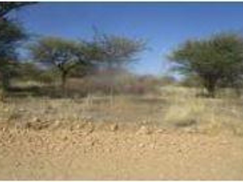 A view of a vacant residential plot featuring natural vegetation and unpaved ground.
