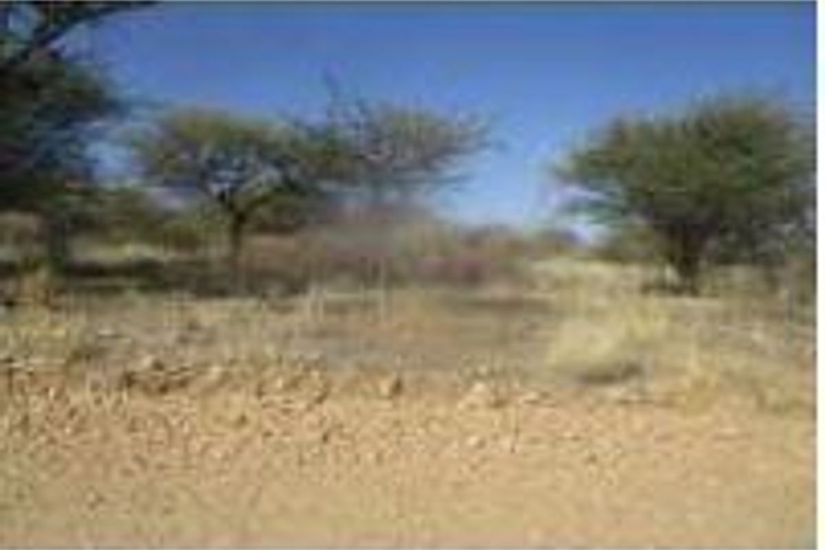 A view of a vacant residential plot featuring natural vegetation and unpaved ground.
