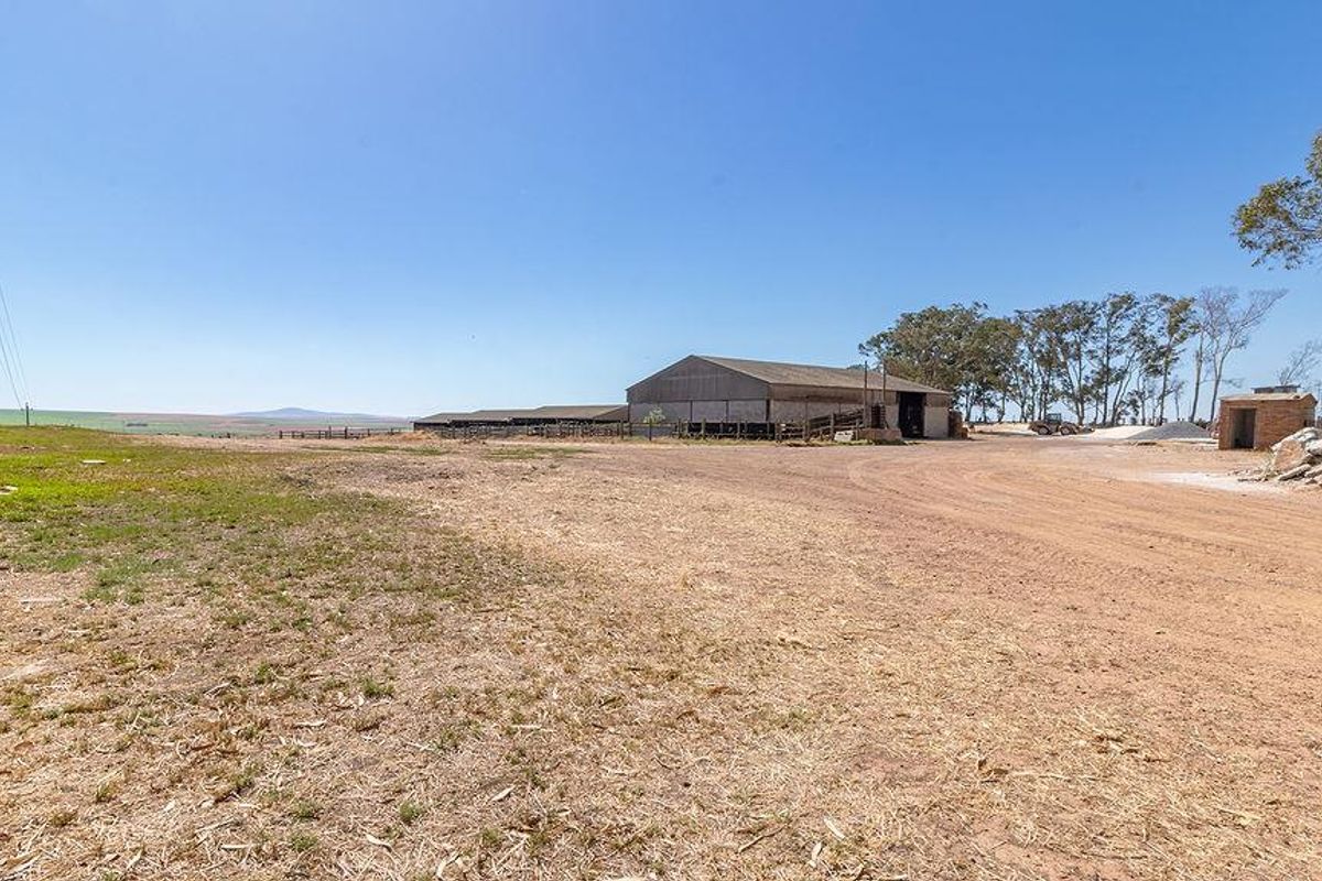 Prime land for rezoning and development by the new airport - Photo 2