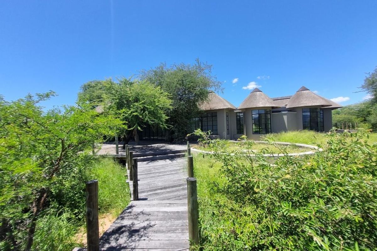 A rear view of a property featuring thatched roof structures, large glass windows, and a wooden boardwalk leading through a natural garden setting.