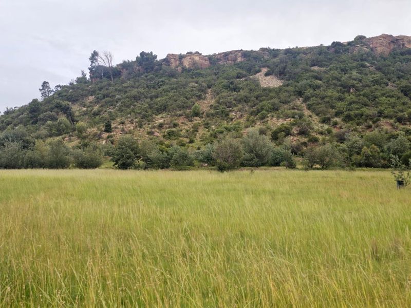 Experience the Tranquility of Mountain Living with This Prime 1250 sqm Vacant Land - Photo 3