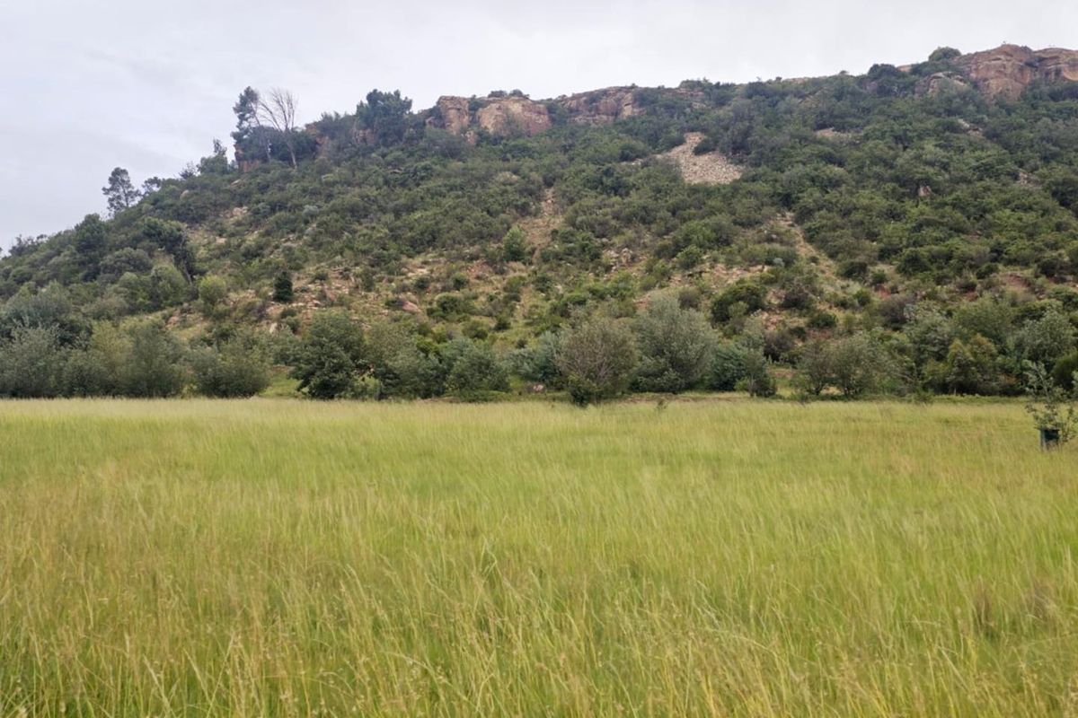 Experience the Tranquility of Mountain Living with This Prime 1250 sqm Vacant Land - Photo 3