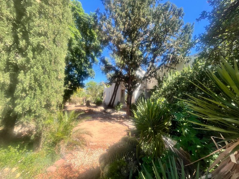A lush, mature garden featuring established trees, diverse plantings, and gravel pathways, providing a serene outdoor space surrounding the property.