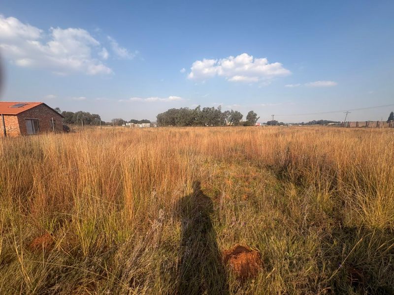 Vacant Land with Endless Potential - Photo 10