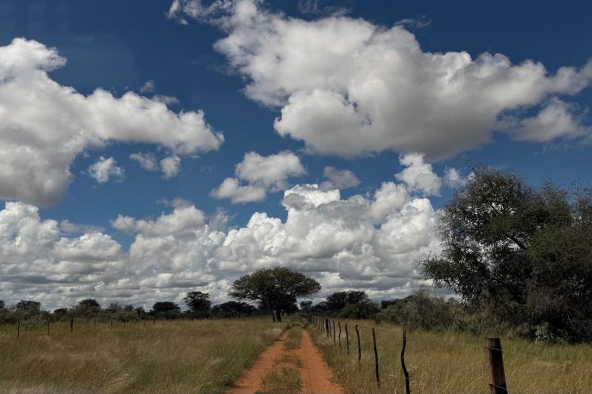Discover this incredible 4500ha farm offering a perfect blend of modern infrastructure, abundant water resources, and rich wildlife - Photo 3