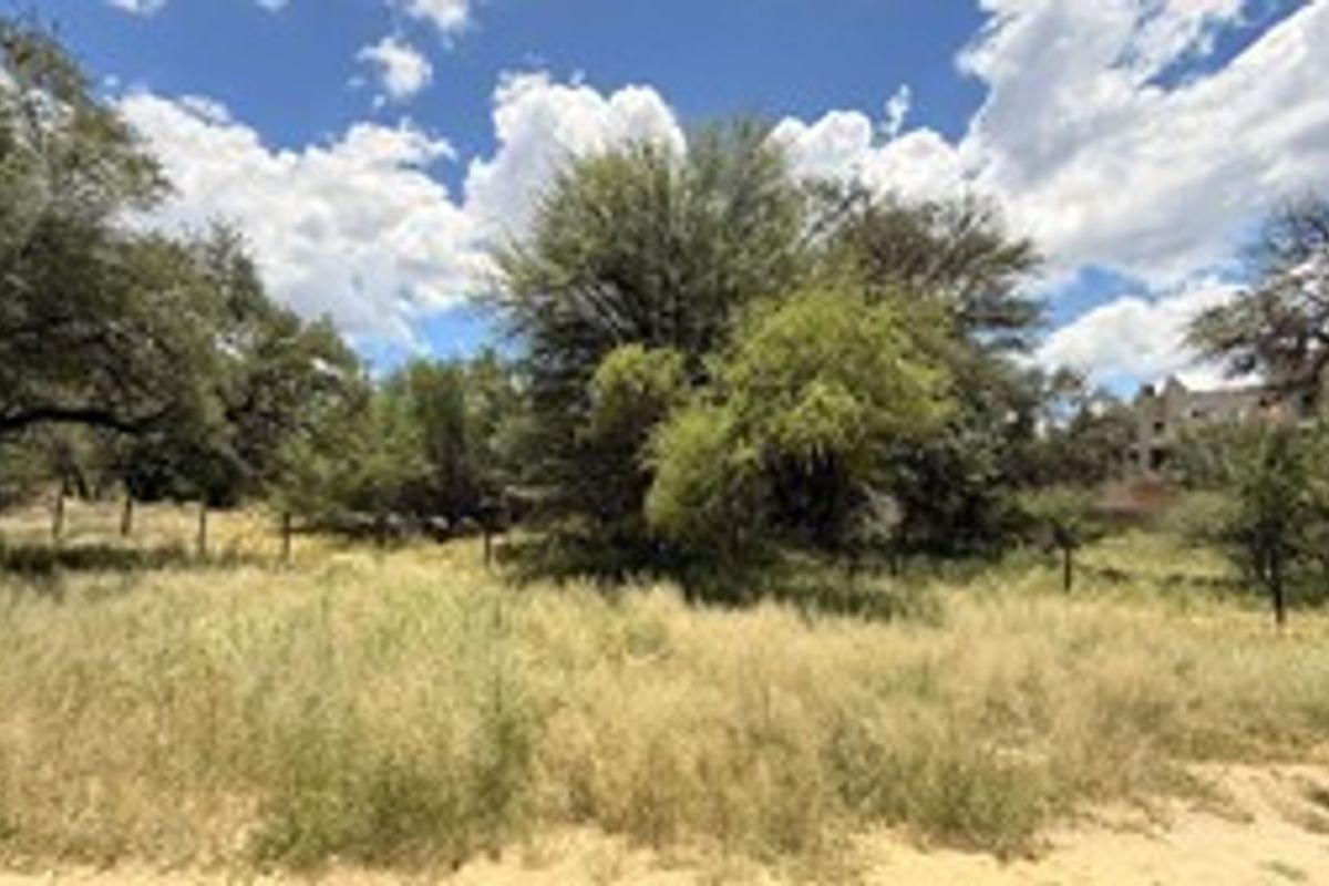 A vacant residential plot featuring established trees and natural vegetation, offering a blank canvas for future development.
