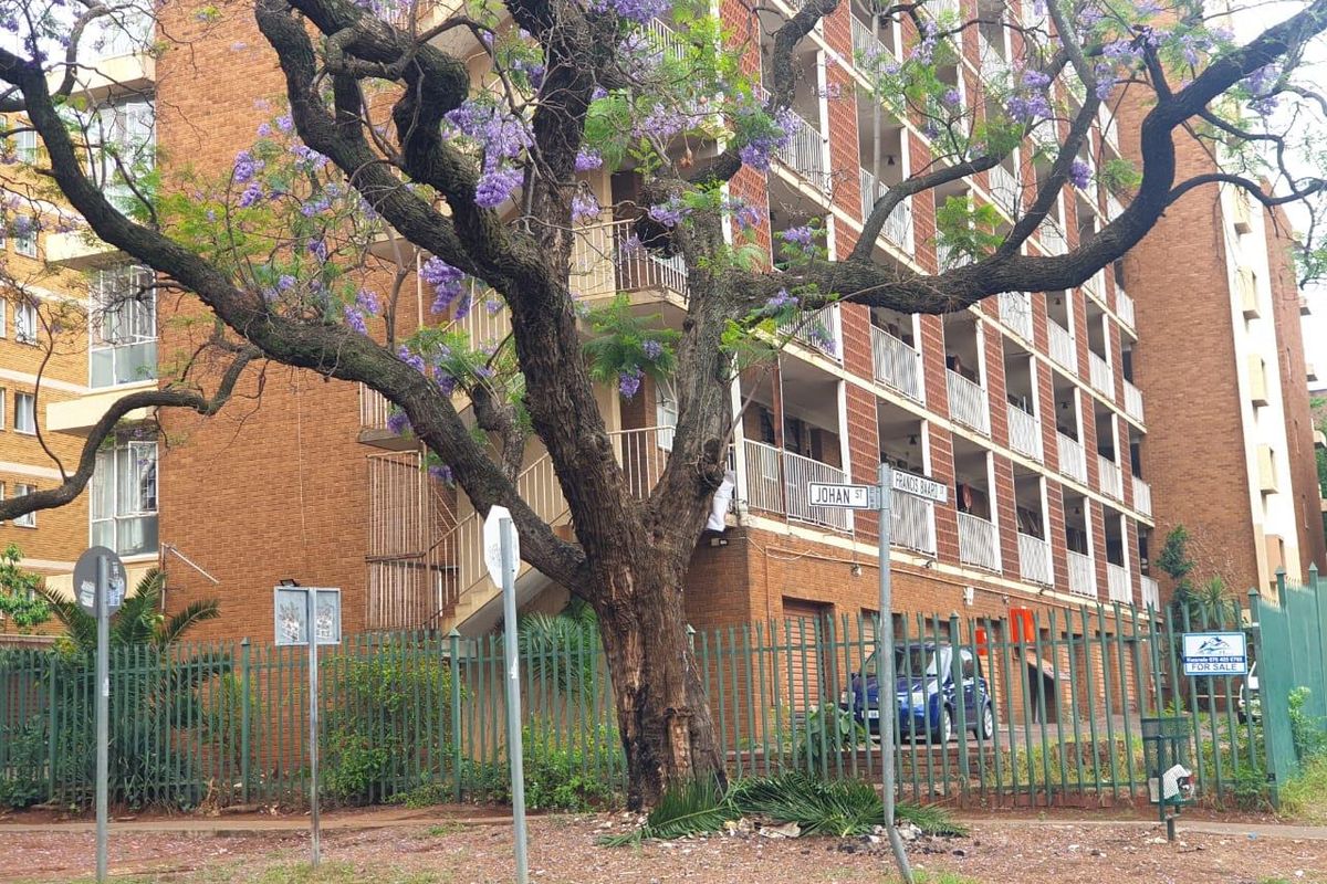 Bargain 3 Bedroom Apartment - Photo 5