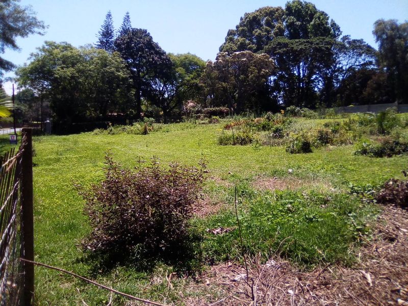 Super Find- Rare Gem of Land in WInston Park - Photo 3